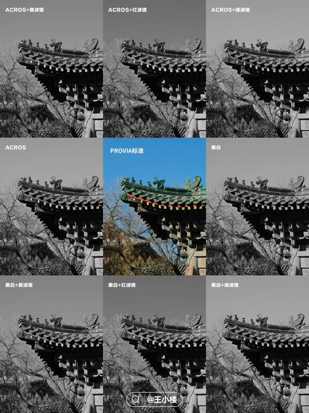acros与黑白